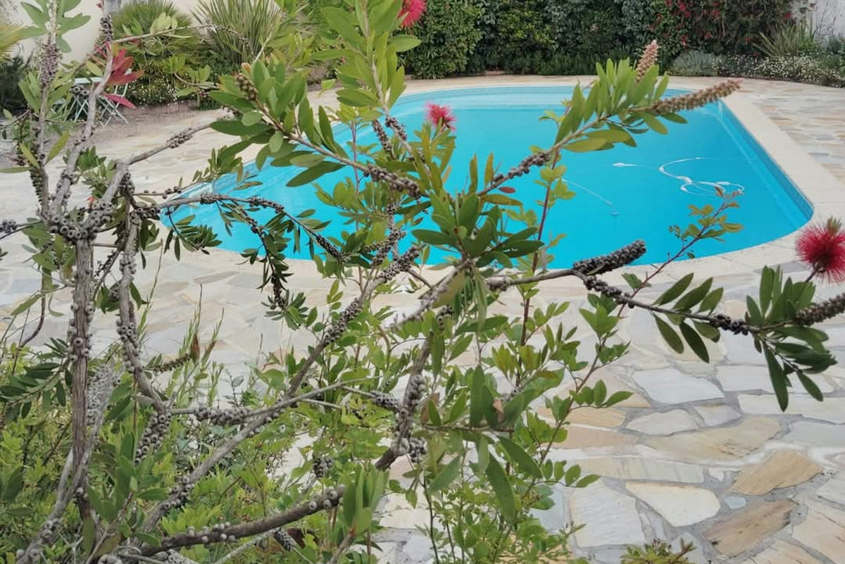 Piscine Privée La Fontaine du Pas 11x5m Sel Mauvezin-sur-Gupie