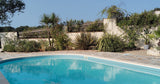 Piscine Privée La Fontaine du Pas 11x5m Sel Mauvezin-sur-Gupie 2
