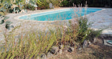 Piscine Privée La Fontaine du Pas 11x5m Sel Mauvezin-sur-Gupie 12