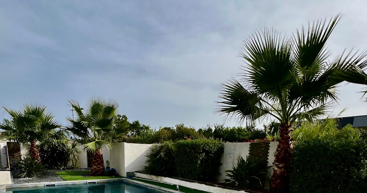 Piscine Privée 10x5m avec Terrain de Pétanque à Saint-Aunès