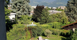 Jolie Piscine Privée à Corenc dans un Écrin de Verdure 2
