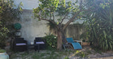 Belle Piscine Privée à Marseille avec Jardin et Barbecue 9