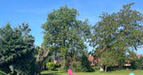Belle Piscine Chauffée à la Campagne à Préseau 8x4m 2