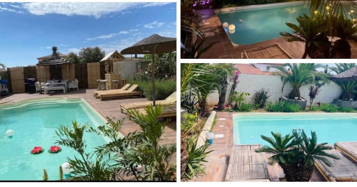 Grande Piscine Privée Décor Tropical à Pérols