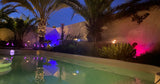 Grande Piscine Privée Décor Tropical à Pérols 4