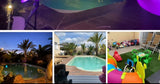 Grande Piscine Privée Décor Tropical à Pérols 2