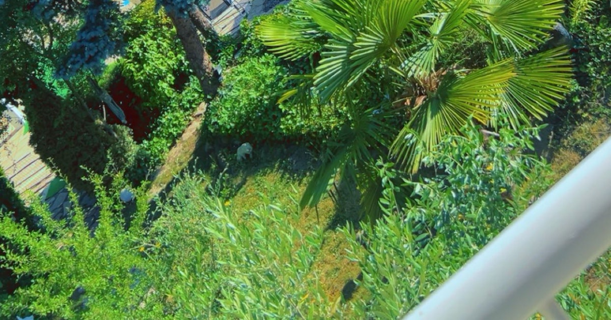 Belle Piscine dans un Écrin de Verdure à Mably