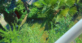 Belle Piscine dans un Écrin de Verdure à Mably 1