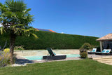 Lagoa Verde Piscine Chauffée Privée 4x8m à Denicé 2