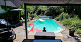 Piscine Chauffée 10x4m sur Parc Boisé à 20min de Metz 3