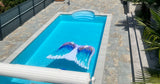 Belle Piscine Privée à Saint-Étienne 4x8m pour Femmes 2