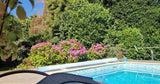 Belle et grande piscine chauffée dans un écrin de verdure 5