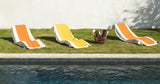 Piscine Privée Chauffée avec Jardin à Barbizon 3