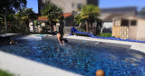 Piscine Privée Chauffée 10x4m à Clisson avec Terrasse Exotique 3