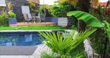Piscine Privée Chauffée 10x4m à Clisson avec Terrasse Exotique 4