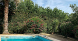 Parenthèse Détente Piscine Privée à Peymeinade 5x10m 4
