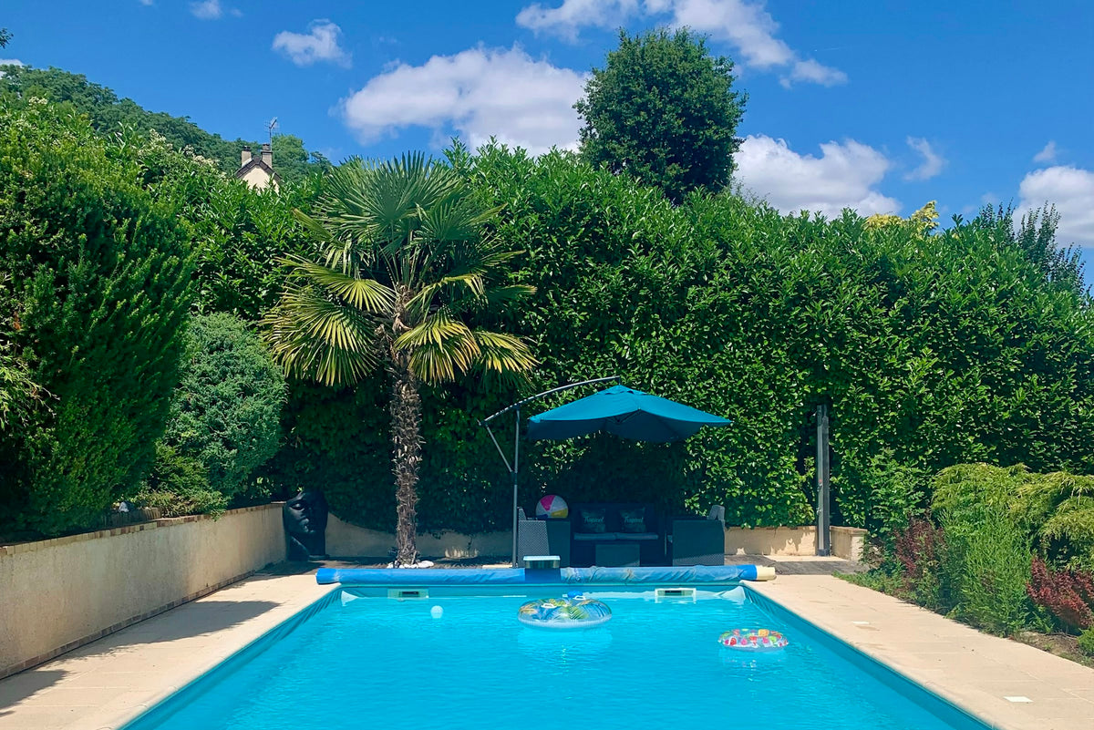 Piscine Privée à Cœuvres-et-Valsery avec Jardin et Plongeoir
