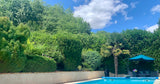 Piscine Privée à Cœuvres-et-Valsery avec Jardin et Plongeoir 2