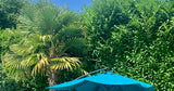 Piscine Privée à Cœuvres-et-Valsery avec Jardin et Plongeoir 4