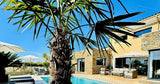 La Villa Cardelin Piscine Privée à Saint-Victoret 8x4m 3