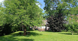 Grande Piscine Privée avec Jardin Verdoyant 1500m² à Esches 5