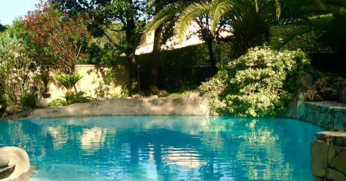 Grande Piscine Lagon d'Exception avec Plage et Cascades