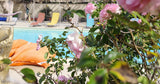 Ile des Plaisirs Piscine au Sel Privatisée Graulhet 4