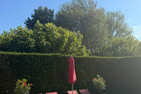 Piscine au Calme sans Vis à Vis avec Cuisine d’Été et Jardin 2