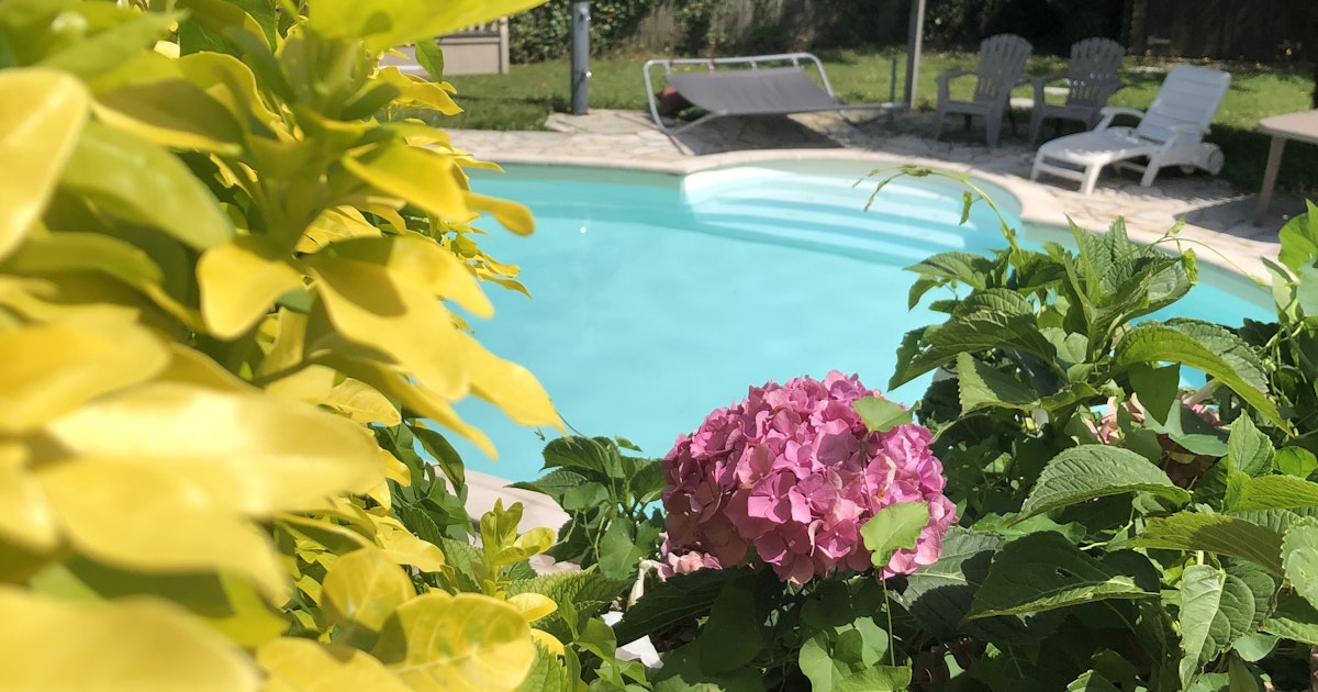 Piscine XXL & Joli Jardin à Saint-Germain-sur-Morin