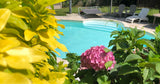 Piscine XXL & Joli Jardin à Saint-Germain-sur-Morin 1