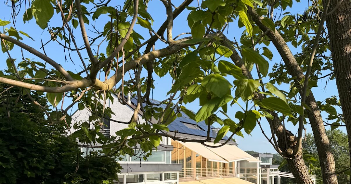 Belles Piscines Intérieure Et Extérieure Chauffées Avec Sauna Et Jacuzzi