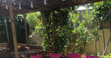 Petite Piscine Chauffée Privée à Carros avec Jardin Verdoyant 2