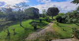 Belle Piscine au Calme Entourée de Verdure à Cintegabelle 11