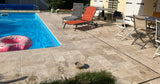 Belle Piscine avec Agréable Terrasse à Saint-Clair-du-Rhône 3