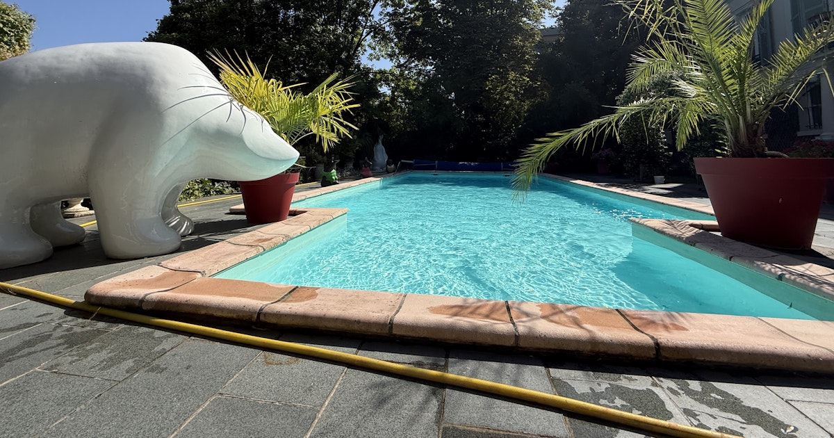Très Grande Piscine et Jacuzzi à Andrésy avec Palmiers