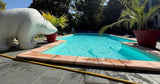 Très Grande Piscine et Jacuzzi à Andrésy avec Palmiers 1
