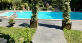 Très Grande Piscine et Jacuzzi à Andrésy avec Palmiers 4