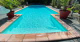 Très Grande Piscine et Jacuzzi à Andrésy avec Palmiers 10