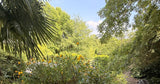 Très Grande Piscine et Jacuzzi à Andrésy avec Palmiers 14