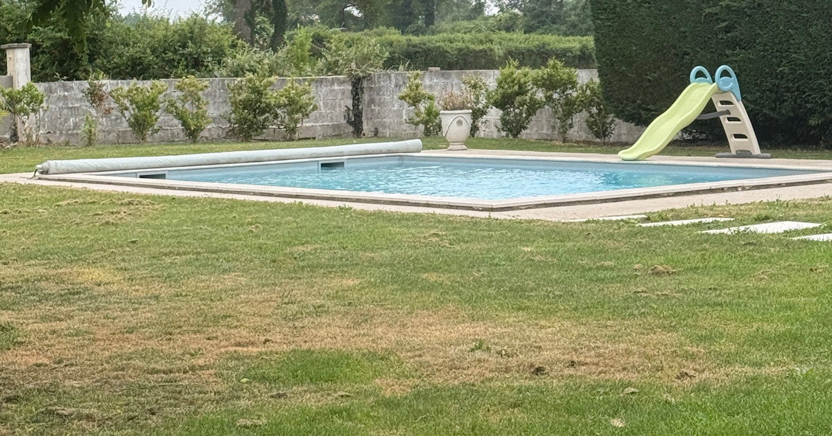 Piscine Privée Extérieure à Bellegarde-en-Forez, Espace Détente et Jardin