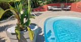 Détente Et Plaisir Piscine Privée à La Roquette-sur-Siagne 5