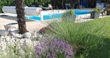 Belle Piscine 5x10m au Cœur de la Ville 12