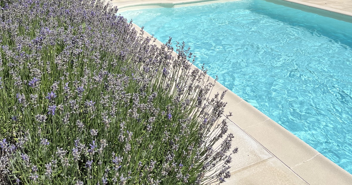 Swimmy Piscine Privée à Prigonrieux dans un Écrin de Verdure