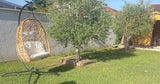 Grande Piscine au Sel avec Plage et Jardin Lyon 11