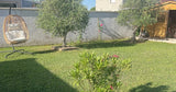 Grande Piscine au Sel avec Plage et Jardin Lyon 12