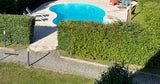Piscine Chauffée Extérieure Privée aux Portes du Perche 2