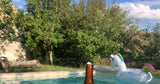 Belle Piscine Chauffée dans un Verger à Vert-en-Drouais 5