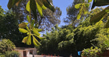 Grande et Belle Piscine Privée à Lunel-Viel près de Montpellier 4