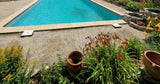 Swimmy Location de Piscine Privée 10m x 5m Morestel 2