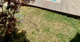 Swimmy Piscine Privée Chauffée 28° Saint-Augustin 7x3m Terrasse 4